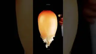 Popcorn flying super slow motion zoom in 