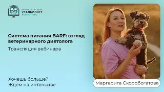 Трансляция вебинара 