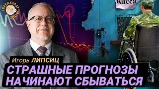 Липсиц: Экономика начинает рассыпаться