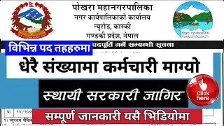 Pokhara Metropolitan City Announces Vacancy for Various Health Services