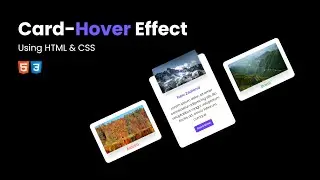 CSS Animated Responsive Card Hover Effect | HTML and CSS