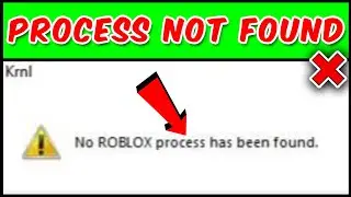 How to Fix Roblox Process Not Found Error (Working, for all executors) (FIXED)