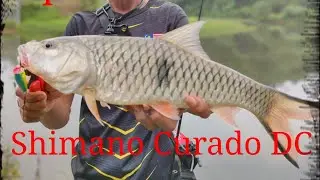 Casting Sebarau / Hampala shimano curado DC 151hg