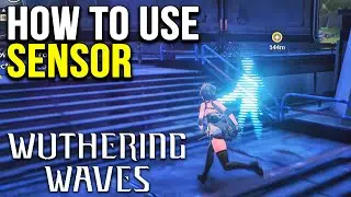 How to Use Sensor to confirm the patrol route Wuthering Waves