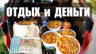 ОТДЫХ-ГРИБЫ-ДЕНЬГИ! Отдохнули на природе у костра, собрали много грибов.