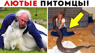 55 Лютых Домашних Питомцев!