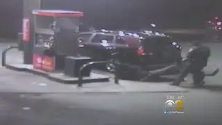 Indiana Police Dog Attacks Innocent Man