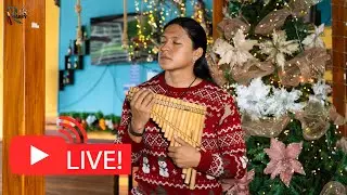 Andean Christmas Music Live - Merry Christmas