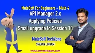 Mule 4 Api Manager 2.0-Apply policies | Session 10 Upgrade |