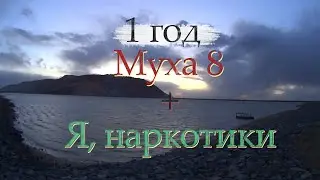 Муха 8 / Год без мухи / От чего умер Муха 8 / За что я благодарен Мухе Игорю / Передозировка