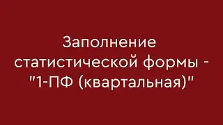 Заполнение статистической формы - 