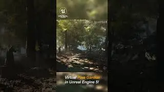 Take a walk through a virtual pine garden in Unreal Engine 5! #UE5 #nature #hiking