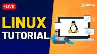 Linux Course | Linux Tutorial | Linux For Beginners | Intellipaat