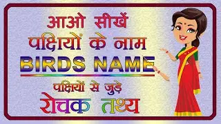 Birds Name | पक्षियों के नाम | Birds Name in English and Hindi | Interesting facts about birds |