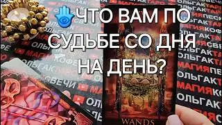 💥❗ЧТО ВАМ ПО СУДЬБЕ💯 СО ДНЯ НА ДЕНЬ🎁💏🍀🦋❓ Таро расклад