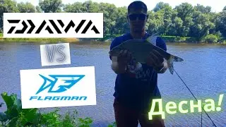 🎣 Десна 2022.Сравнения фидерного удилище Daiwa Ninja-X  против  Flagman Squadron Pro. ЛЕЩ. ГОЛАВЛЬ.