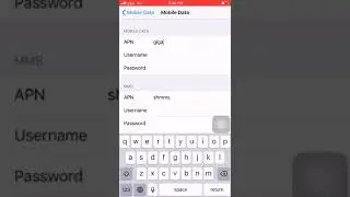 APN instructions for iOS | giga experience