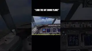 The moment of peak professionalism in Flight Sim X