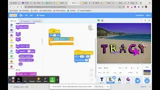 Conditional Blocks & Sensing in Scratch