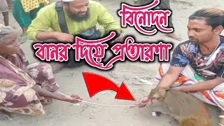 বানর দিয়ে মানুষের সাথে প্রতারণা! Monkey! #Monkey