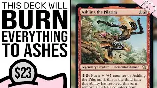 Burn Everything to Ashes | Ashling the Pilgrim | $23 Budget Deck Tech | EDH | MTG