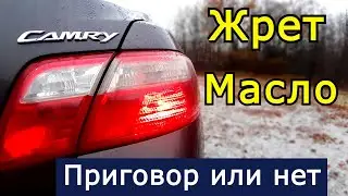 Расход масла. Это приговор и капремонт или еще поездит? Toyota Camry 40, двигатель 2AZ-FE