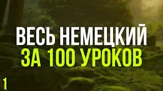 Весь Немецкий за 100 уроков. Немецкие слова и фразы. Немецкий с нуля. Немецкий язык. Часть 1