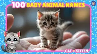 100 Baby Animal Names | Fun English Vocabulary Learning for Kids! Like Puppy, Kitten, and More!