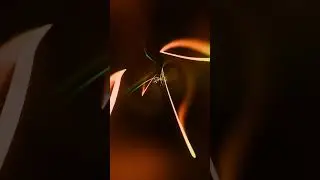 Abstract Background Video 4k TV VJ LOOP NEON Green Orange Visual Hypnotic Visual ASMR Motion Graphic