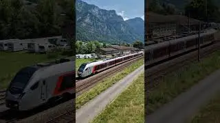 Многоцветие швейцарских поездов #switzerland #swisstrains