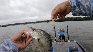 Catching CRAPPIE In The DOG DAYS Of Summer! (Catch and CLEAN!) Presented by @midwayusa