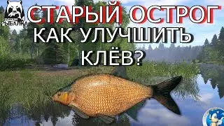 🌟СТАРЫЙ ОСТРОГ🌟ЧТО ДЕЛАТЬ ЕСЛИ НЕ КЛЮЁТ?🌟Русская Рыбалка 4(РР4)🌟