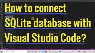 How to connect SQLite datbase with Visual Studio Code?