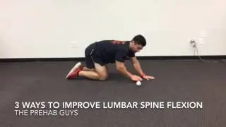 3 ways to improve lumbar spine flexion mobility