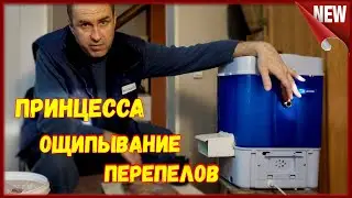 Принцесса -Лучшая перосъемная машинка . Ощипывание перепелов.