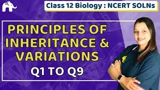 Principles of Inheritance and Variations | Class 12 Bio Biology | Chapter 5 | NCERT Questions 1-9