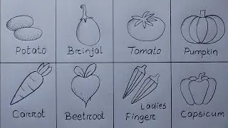 Different types of Vegetables Drawing easy| 8 Different types Vegetable Drawing| Vegetables Chart