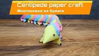 CENTIPEDE PAPER CRAFT | Многоножка из бумаги своими руками