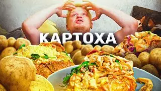 Potato papa. КАРТОХА на стероидах! Славный Обзор.