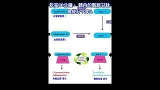 Laager南非國寶茶抗疫防病毒