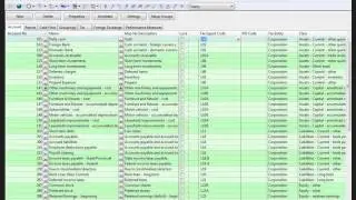 Working Papers: Using the Automap Feature to Map and Assign Tax Codes