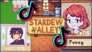 Stardew Valley TikTok Memes