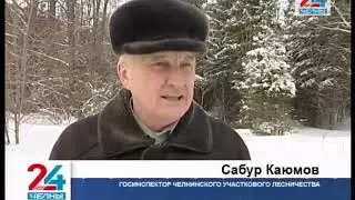«Зеленая операция» снова в деле