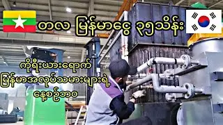 တလ မြန်မာငွေ 35သိန်းလုပ်ငန်းခွင်နှင့်ကိုရီးယားရောက်မြန်မာအလုပ်သမားများရဲ့ နေ့စဉ်ဘ၀