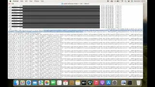 ANEProgramProcessRequestDirect() Error in Apple Silicon macOS 14 Sonoma with Stable Diffusion