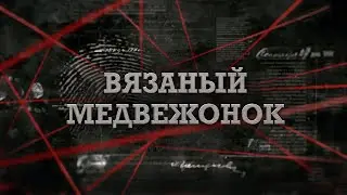 Вязаный медвежонок | Вещдок 2023. Преступления прошлого