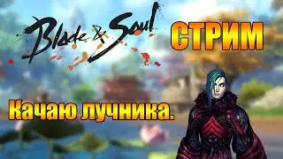 Blade and Soul. Стрим. Качаю лучника