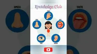 5 sense organs #shorts #knowledge club