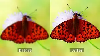 How to Sharpen Blurry Photos in Photoshop & Sharpen AI