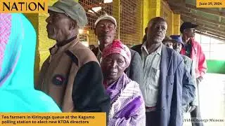 Tea farmers in Kirinyaga queue at the Kagumo polling station to elect new KTDA directors
